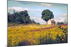 House on a Hill-John Rivera-Mounted Photographic Print