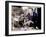 House on Haunted Hill, Vincent Price, 1959-null-Framed Photo