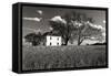 House on Malvern Hill-Alan Hausenflock-Framed Stretched Canvas