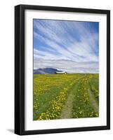 House on the Meadow of Wild Flowers, Iceland-Keren Su-Framed Photographic Print