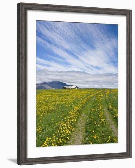 House on the Meadow of Wild Flowers, Iceland-Keren Su-Framed Photographic Print