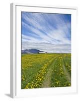 House on the Meadow of Wild Flowers, Iceland-Keren Su-Framed Photographic Print