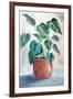 House Plant-Alex Black-Framed Art Print