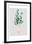 House Pot 3-Boho Hue Studio-Framed Art Print