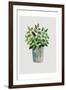 House Pot 4-Boho Hue Studio-Framed Art Print