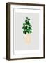 House Pot 6-Boho Hue Studio-Framed Art Print