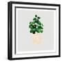 House Pot 6-Boho Hue Studio-Framed Art Print