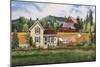 House-Quilt-Red Barn-Debbi Wetzel-Mounted Giclee Print