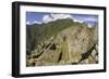 House Ruins at Machu Picchu-Darrell Gulin-Framed Photographic Print