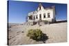 House Slowly Being Reclaimed by the Desert-Lee Frost-Stretched Canvas