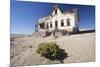 House Slowly Being Reclaimed by the Desert-Lee Frost-Mounted Photographic Print