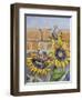 House Sparows with Sunflowers-Charlsie Kelly-Framed Premium Giclee Print