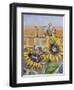 House Sparows with Sunflowers-Charlsie Kelly-Framed Premium Giclee Print