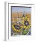 House Sparows with Sunflowers-Charlsie Kelly-Framed Premium Giclee Print