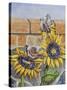House Sparows with Sunflowers-Charlsie Kelly-Stretched Canvas