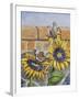 House Sparows with Sunflowers-Charlsie Kelly-Framed Giclee Print