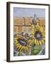 House Sparows with Sunflowers-Charlsie Kelly-Framed Giclee Print