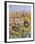 House Sparows with Sunflowers-Charlsie Kelly-Framed Giclee Print