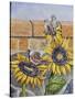 House Sparows with Sunflowers-Charlsie Kelly-Stretched Canvas