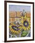 House Sparows with Sunflowers-Charlsie Kelly-Framed Giclee Print