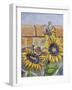 House Sparows with Sunflowers-Charlsie Kelly-Framed Giclee Print