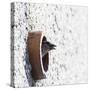 House Sparrow Head Sticking from the Hole of the Wall. Wildlife Photography with Blank Space.-Martin Janca-Stretched Canvas