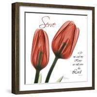 House Tulips-Albert Koetsier-Framed Photographic Print