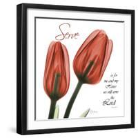 House Tulips-Albert Koetsier-Framed Photographic Print