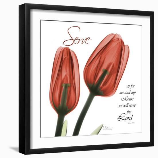 House Tulips-Albert Koetsier-Framed Photographic Print