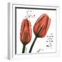 House Tulips-Albert Koetsier-Framed Photographic Print