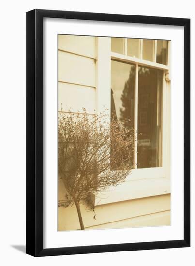 House Window-Steve Allsopp-Framed Photographic Print