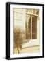 House Window-Steve Allsopp-Framed Photographic Print