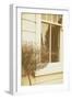 House Window-Steve Allsopp-Framed Photographic Print