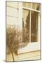 House Window-Steve Allsopp-Mounted Photographic Print