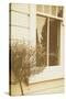 House Window-Steve Allsopp-Stretched Canvas