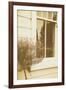House Window-Steve Allsopp-Framed Photographic Print