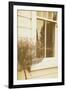 House Window-Steve Allsopp-Framed Photographic Print