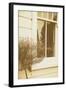 House Window-Steve Allsopp-Framed Photographic Print