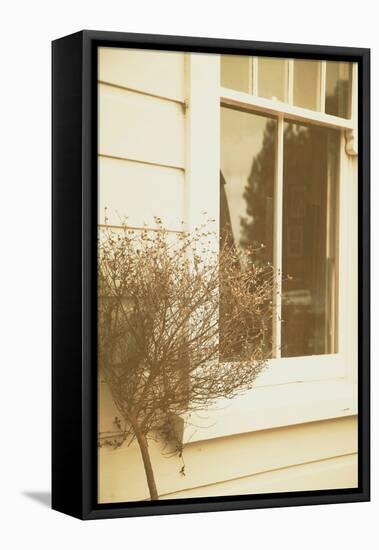 House Window-Steve Allsopp-Framed Stretched Canvas