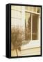 House Window-Steve Allsopp-Framed Stretched Canvas