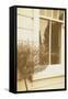 House Window-Steve Allsopp-Framed Stretched Canvas