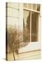 House Window-Steve Allsopp-Stretched Canvas