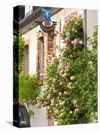 House with Rose Bushes and Wrought Iron Sign, Hautvillers, Vallee De La Marne, Champagne, France-Per Karlsson-Stretched Canvas