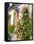 House with Rose Bushes and Wrought Iron Sign, Hautvillers, Vallee De La Marne, Champagne, France-Per Karlsson-Framed Stretched Canvas