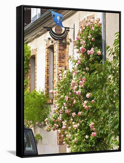 House with Rose Bushes and Wrought Iron Sign, Hautvillers, Vallee De La Marne, Champagne, France-Per Karlsson-Framed Stretched Canvas