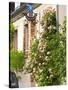 House with Rose Bushes and Wrought Iron Sign, Hautvillers, Vallee De La Marne, Champagne, France-Per Karlsson-Stretched Canvas