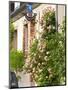House with Rose Bushes and Wrought Iron Sign, Hautvillers, Vallee De La Marne, Champagne, France-Per Karlsson-Mounted Photographic Print