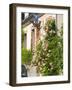 House with Rose Bushes and Wrought Iron Sign, Hautvillers, Vallee De La Marne, Champagne, France-Per Karlsson-Framed Photographic Print