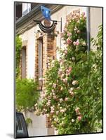 House with Rose Bushes and Wrought Iron Sign, Hautvillers, Vallee De La Marne, Champagne, France-Per Karlsson-Mounted Photographic Print