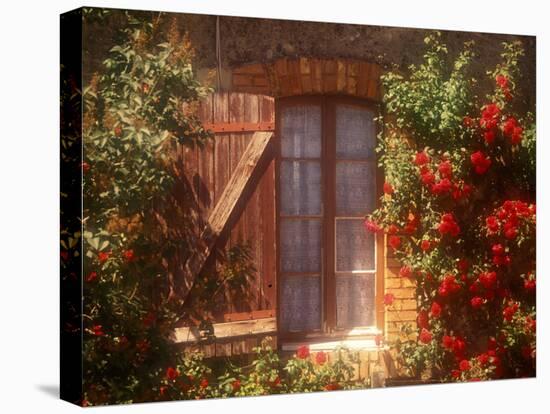 House with Summer Roses in Bloom, Vaucluse, France-Walter Bibikow-Stretched Canvas